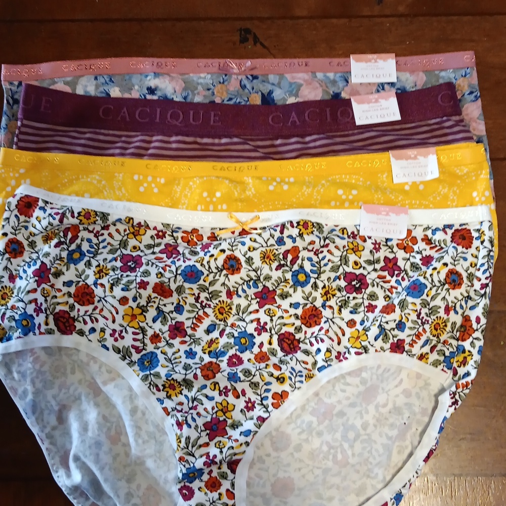 Women's panties size 14/16
